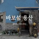 용산식품 | 삼각지역 바보섬 용산 통오징어보쌈 후기