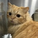 파랑새동물병원 이미지