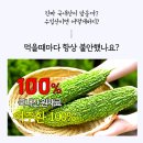 장균농장 이미지