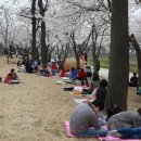 황구지천 이미지