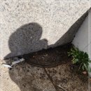 포남2동-3 이미지