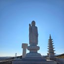 통일기원 미륵대불 이미지