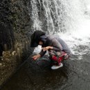 개울민박 이미지