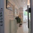 원두네 멍냥백서 이미지