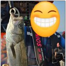 태안호스릴-71 | 신진도 항공모함호 타고 농어 외수질낚시 다녀와서 후기 남겨요