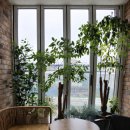 주식회사지금부동산중개법인 이미지