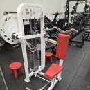 파라마운트 삼두 트라이셉스 익스텐션 구합니다 이미지