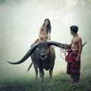 아이젠트리 만촌점 이미지