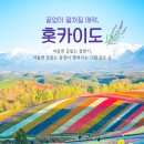 주)오색여행사 이미지