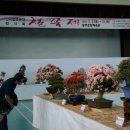 호암체육관 체육관 이미지