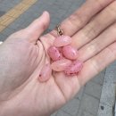 샤인팩토리 | 입생로랑 뷰티 신상 성수 팝업스토어 러브샤인 팩토리 후기