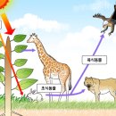 초당에너지 이미지