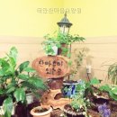 한마음 요양원 네이버블로그
