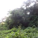 완산-140 이미지