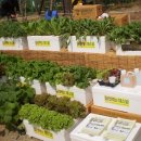 친환경나눔텃밭 이미지