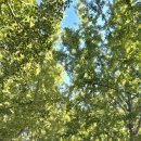 고구려식당 | 아산 맛집 고구려식당 건강밥상 한상 후기