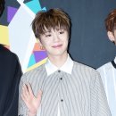 의진농장 뉴스엔