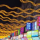 중국어는 처음이라.Ⅱ | 칭모저모1탄 (연없여 2박3일 칭다오 여행) 잔교 중산로 대학로 미카엘성당 칭다오맥주공장 타이동야시장...