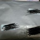 유정카써비스 이미지