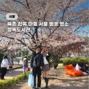 책읽는 푸른마을도서관 | 서울 정독도서관 벚꽃 명소 나들이 추천 4월 개화 상황 (주차요금,책읽는정원,포토스팟)