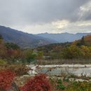 구적골농원 이미지