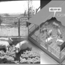 인준농장 이미지