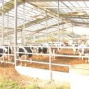 학우목장 이미지