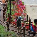 공원-23(노량진근린공원) 이미지