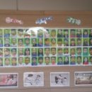 부평하나용인대태권도장 이미지