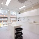 고양이 이발관 이미지