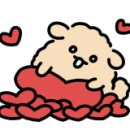 메이라뷰티 이미지