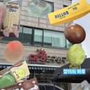 대왕약국 | [수원/행궁동] 추억의 문방구 감성 가득! '대왕문구'에서 말랑이 &amp; 슬랑이 득템해 온 내돈내산 후기