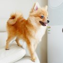 끼리끼리 이미지