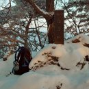 청양농협남양지점 이미지