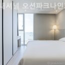 나인 인터내셔널