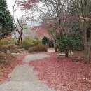 장천재체육공원 이미지