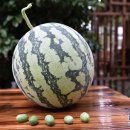 엄지민박 이미지