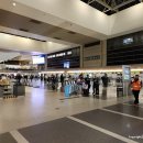 인천공항 콜밴 이용후기 인천공항 to 김포공항 (f. LA 공항 식당, 아시아나 항공 기내식)