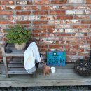 서쪽공방 | 태안 감성숙소 서쪽공방, 요가 스테이 바유 : 핸드메이드 소품샵