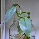 물고기(물과의 만남 이미지