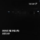 일상정육