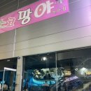 디스코팡야 이미지