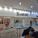 대덕 동물병원 이미지