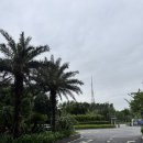 (주)리치게임즈 | 2025.W25