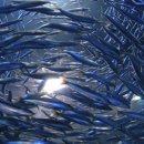 청어람로 이미지