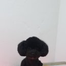 개편한세상 이미지