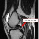 성모메디트레이닝센터 이미지