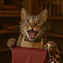 내가 만드는 가죽소품 이미지