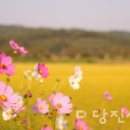 대덕1통마을회관 이미지