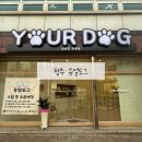 유얼도그 이미지